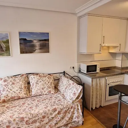 Apartamento Estudio Harmonía - 2 Junto Al Auditorio - Vut-4321-as Oviedo